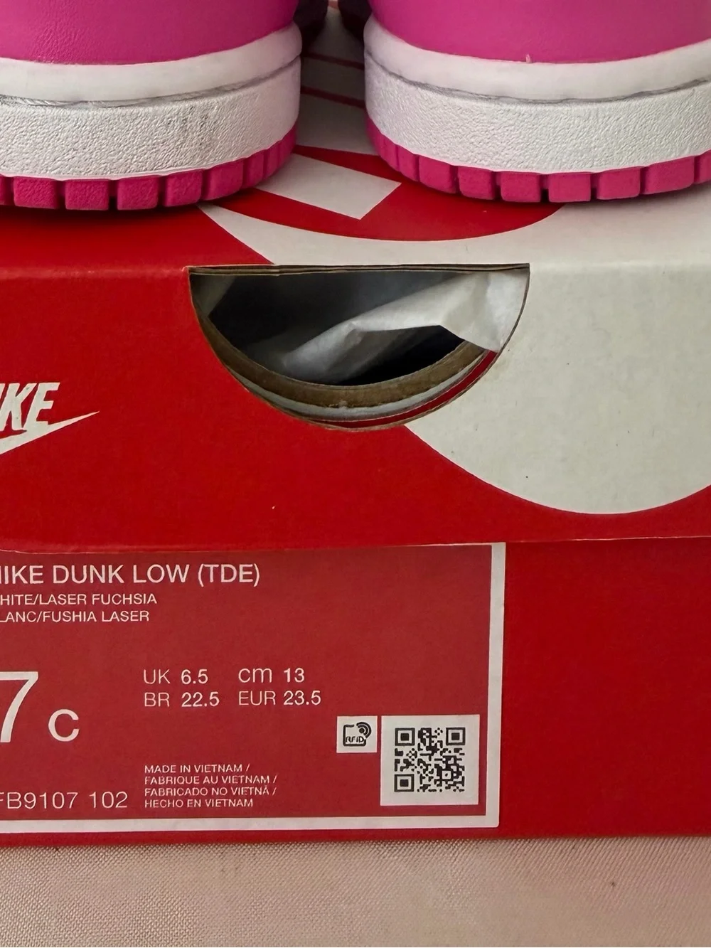 Kids Nike Dunk Low (Size 7C)